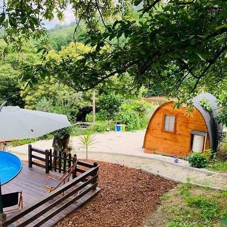 Gallas Pod House Vouzela Extérieur photo