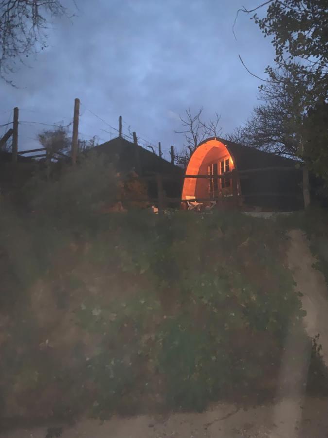 Gallas Pod House Vouzela Extérieur photo